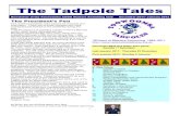 The Tadpole Tales€¦ · The MSX – MSQ Swimmers excellence program: This program is recognises swimmers who achieve certain swim times for different events. If you swim a predetermined