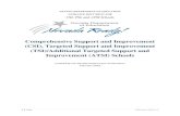 Comprehensive Support and Improvement (CSI), Targeted ......1 | Page February 2019 v.1 NEVADA DEPARTMENT OF EDUCATION GUIDANCE DOCUMENT FOR CSI, TSI, and ATSI Schools Comprehensive