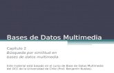Bases de Datos Multimedia - uchile.cljsaavedr/files/TEBD/TEBD(2).pdf · 2010. 1. 27. · Bases de Datos Multimedia Capítulo 2 Búsqueda por similitud en bases de datos multimedia