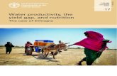 Water productivity, the yield gap, and nutrition17 17 Water productivity, the yield gap and nutrition – The case of Ethiopia Today, the implementation of the Sustainable Development