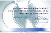 Department of Physics | - Advanced Numerical Methods for Simulation of Shock waves ...hep.princeton.edu/mumu/target/Dallocchio/Dallocchio... · 2011. 5. 9. · Advanced Numerical