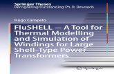 FluSHELL â€“ A Tool for Thermal Modelling and Simulation of Windings for Large Shell-Type Power Transformers