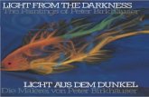 Light from the Darkness / Licht aus dem Dunkel: The Paintings of Peter Birkh¤user / Die Malerei von Peter Birkh¤user