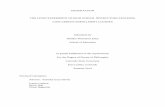 DISSERTATION THE LIVED EXPERIENCE OF HIGH SCHOOL INSTRUCTORS TEACHING