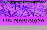 Marijuana Grow Guide for Beginners - I Love Growing Marijuana