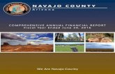 Navajo County June 30, 2016 Financial Report