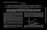 2010 The Proteasome Inhibitor Velcade Enhances rather than Reduces Disease in Mouse Hepatitis Coronavirus-Infected Mice