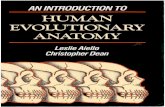 An Introduction to Human Evolutionary Anatomy - L. Aiello, C. Dean (AP, 1990) WW