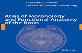 Atlas of Morphology, Functional Anatomy of the Brain - T. Scarabino, U. Salvolini (Springer, 2006) WW