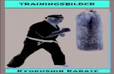 TRAININGSBILDER Kyokushin Karate - Kyokushin Karate SV