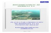 BIOCOMBUSTIBLES DE ZIERBENA S.A.BIOCOMBUSTIBLES DE ZIERBENA, S.A. Planta para Producción de Biodiesel en el Puerto de Bilbao. Estudio de Impacto Ambiental EsIA - Memoria Pág. 2 Mayo
