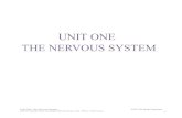 UNIT ONE THE NERVOUS SYSTEM - UW Faculty Web Server