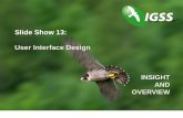 Slide Show 13: User Interface Design