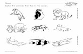 Color the animals that live in the ocean