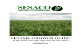 Grower Guide 080424 - Baylor | Texas AgriLife Extension Service
