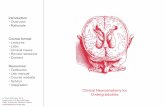 Clinical Neuroanatomy for Undergraduates - Harvard University