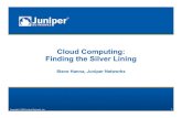 Cloud Computing: Finding the Silver Lining