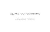 SQUARE FOOT GARDENING -   | Teaching | Research