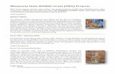 Minnesota State Wildlife Grant (SWG) Projects