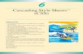 CascadingStyleSheets (CSS) - Welcome to Bucknell || Bucknell