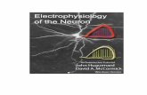 ELECTROPHYSIOLOGY OF THE NEURON dm from john dm modified
