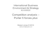International Business Environment & Strategy
