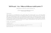 What is Neo-Liberalism - folk.uio.no