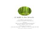 A Walk in the Woods - Gallery of Wood Art home