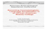 American Anthropological Association Conference