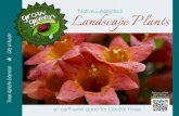 Native Adapted Landscape Plants - Welcome to   - the