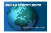 Information Architecture: Leveraging Information in an SOA Environment
