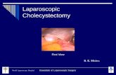 Laparoscopic Cholecystectomy - World Laparoscopy Hospital