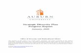 Strategic Diversity Plan Progress Report - Auburn University