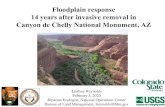 Floodplain response 14 years after invasive removal in …...Canyon de Chelly National Monument, AZ From Cadol, 2006 Canyon de Chelly, Arizona Historic canyon land use •Farming •Fruit