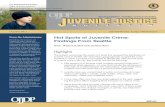 Hot Spots of Juvenile Crime: Findings From Seattle