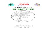 FIFTH GRADE PLANT LIFE