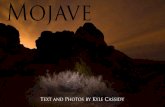 Mojave - Kyle Cassidy
