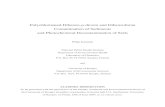 Polychlorinated Dibenzo-p-dioxin and Dibenzofuran Contamination of