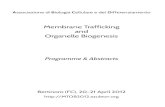 Membrane Trafficking and Organelle Biogenesis