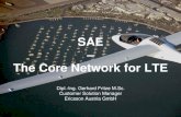 SAE The Core Network for LTE - 3G and 4G Wireless Resources