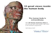 10 great views inside the human body