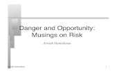 Danger and Opportunity: Musings on Risk