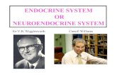 ENDOCRINE SYSTEM OR NEUROENDOCRINE SYSTEM