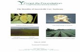 The Benefits of Insecticide Use: Soybeans