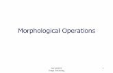 Morphological Operations - UCL - London's Global University