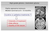High grade glioma + brainstem glioma Highly agressive tumours