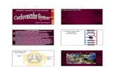Human Anatomy & Physiology Cardiovascular System URLs 15