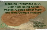Mapping Phragmites in St. Clair Flats using Aerial Photos, Google
