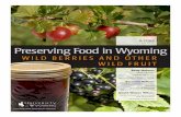 Preserving Food in Wyoming Wild Berries and Other Wild Fruit