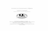 Lectures on Commutative Algebra - Department of Mathematics, IIT